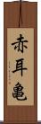 赤耳亀 Scroll