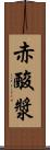 赤酸漿 Scroll