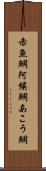赤魚鯛 Scroll