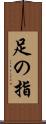 足の指 Scroll