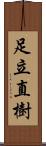足立直樹 Scroll