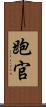 跑官 Scroll