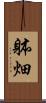 躰畑 Scroll