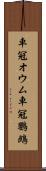 車冠オウム Scroll