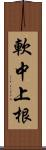 軟中上根 Scroll