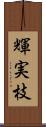 輝実枝 Scroll