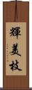 輝美枝 Scroll
