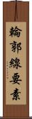 輪郭線要素 Scroll