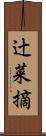辻菜摘 Scroll