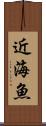 近海魚 Scroll