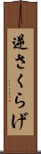 逆さくらげ Scroll