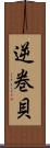 逆巻貝 Scroll