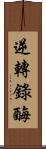 逆轉錄酶 Scroll