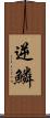 逆鱗 Scroll