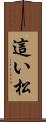 這い松 Scroll