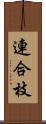 連合枝 Scroll