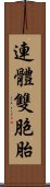 連體雙胞胎 Scroll