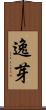 逸芽 Scroll