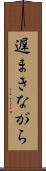 遅まきながら Scroll