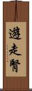 遊走腎 Scroll