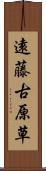 遠藤古原草 Scroll