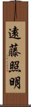 遠藤照明 Scroll