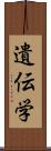 遺伝学 Scroll