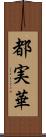 都実華 Scroll