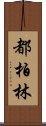 都柏林 Scroll