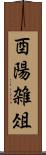 酉陽雑俎 Scroll