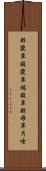 酢漿草 Scroll