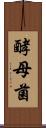 酵母菌 Scroll