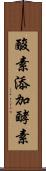酸素添加酵素 Scroll