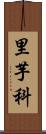 里芋科 Scroll