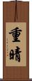 重晴 Scroll