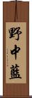 野中藍 Scroll