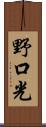 野口光 Scroll