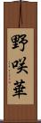 野咲華 Scroll