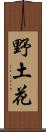 野土花 Scroll