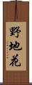 野地花 Scroll
