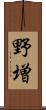 野増 Scroll