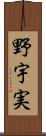 野宇実 Scroll