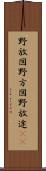 野放図 Scroll