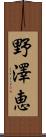 野澤恵 Scroll