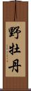 野牡丹 Scroll