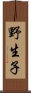 野生子 Scroll