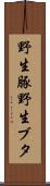 野生豚 Scroll