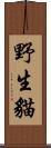 野生貓 Scroll