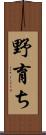 野育ち Scroll
