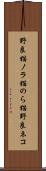 野良猫 Scroll